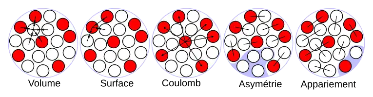 Illustration des termes de la formule de Bethe-Weizsäcker dans le modèle de la goutte liquide du noyau atomique. Les protons sont représentés par les ronds rouges et les neutrons par les ronds blancs.