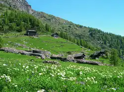 Image illustrative de l’article Vallon de Saint-Grat