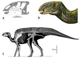 Description de cette image, également commentée ci-après