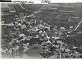 Photographie aérienne prise à 400&nbsp;m par Walter Mittelholzer (1922).