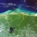 Image satellite des côtes de la Guyane.