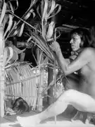 Guérisseur et son bâton de médecine. Emberá. Darién, rivière Sambú 1927