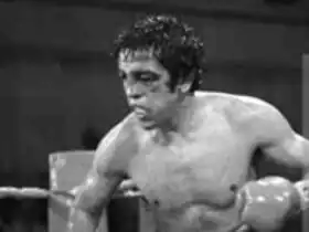 Image illustrative de l’article Bobby Chacon