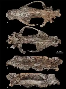 Description de cette image, également commentée ci-après