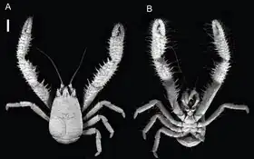 Description de cette image, également commentée ci-après