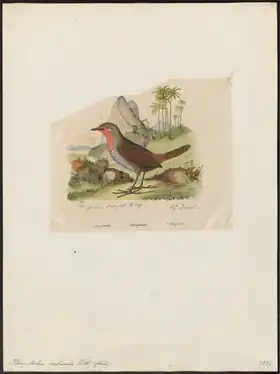 Description de cette image, également commentée ci-après