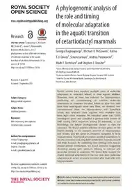 signature de Simón Rodríguez