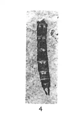 Description de cette image, également commentée ci-après