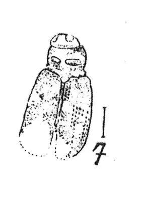 Description de cette image, également commentée ci-après