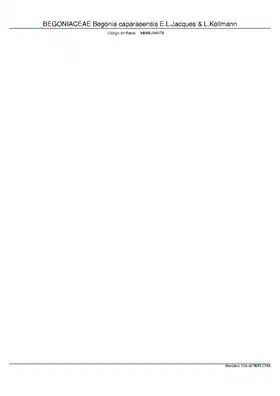 Description de l'image BEGONIACEAE Begonia caparaoensis E.L.Jacques & L.Kollmann, INMA (MBML049179).pdf.