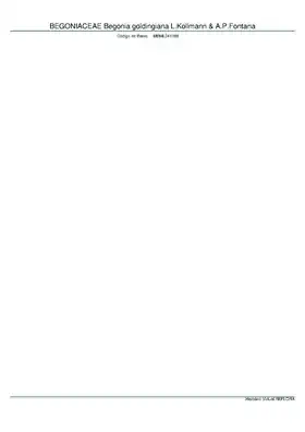 Description de l'image BEGONIACEAE Begonia goldingiana L.Kollmann & A.P.Fontana, INMA (MBML041188).pdf.