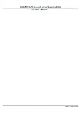Description de l'image BEGONIACEAE Begonia pernambucensis Brade, INMA (MBML040995).pdf.