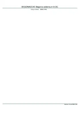 Description de l'image BEGONIACEAE Begonia valdensium A.DC, INMA (MBML015490).pdf.