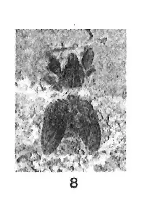 Description de cette image, également commentée ci-après