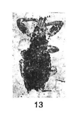 Description de cette image, également commentée ci-après