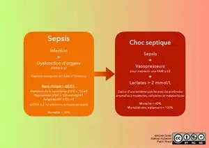 Description de l'image Sepsis & Choc septique.pdf.