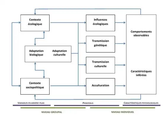 Modèle éco-culturel de John W. Berry (Adapté de Segall & al. (1999))